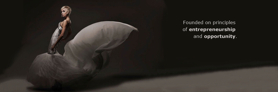 P2FHoldinsSLide_Founded3